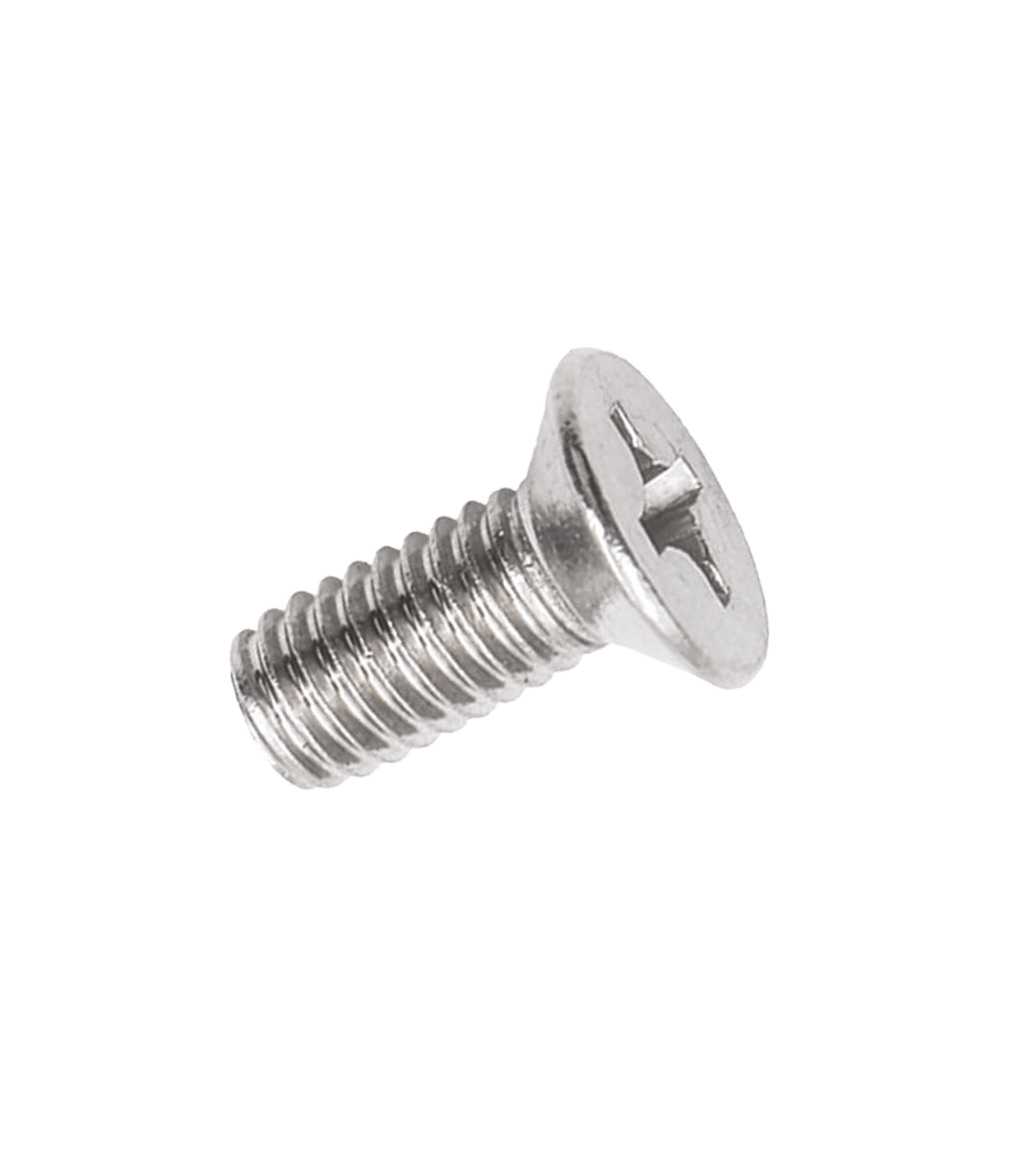 M5 x12 Hinges Screw (100 PCS)